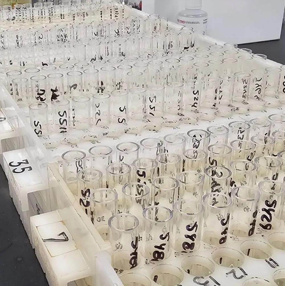 Why Lab Accreditation Matters: Trust, Standards, and ISO 17025