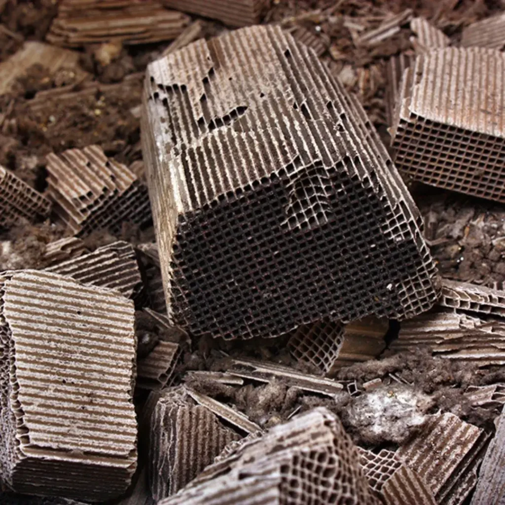 What Is a Fresh Catalyst? Everything You Need to Know