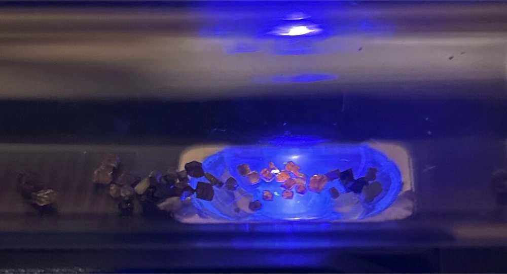 Heterogeneity and Sampling Challenges