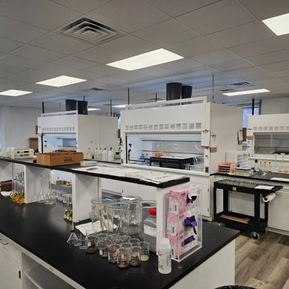 Our Capabilities in Rare Earth Material Analysis
